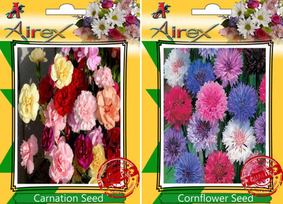 

Airex Carnation, Cornflower Seed(15 per packet)