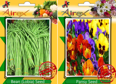 Airex Bean (Lobia), Pansy Seed(25 per packet)