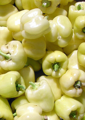

Real Seed Ivory White Capsicum F1 Hybrid Imported Vegetable Seeds Seed(10 per packet)