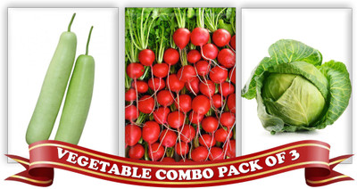 

Real Seed Vegetable Combo Pack - Bottle Gourd, Red Radish, Cabbage F1 Hybrid Imported Seeds Seed(3 per packet)