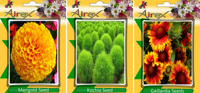 

Airex Marigold,Kochia and Gaillardia Seed(25 per packet)