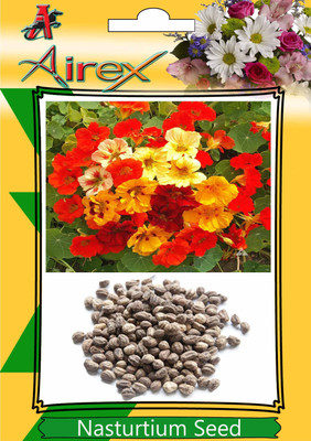 Airex Nasturtium Seed(20 per packet)