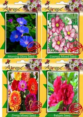 

Airex Morning Glory,Cosmos Mixed,Zinnia Mixed and Balsam Seed(20 per packet)