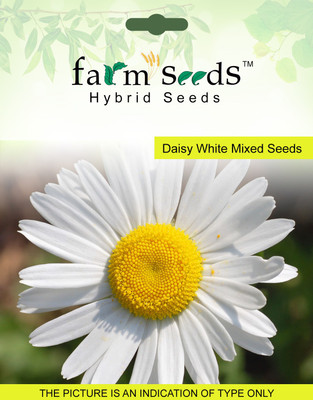 

FARM SEEDS Daisy Flower Seed(100 per packet)
