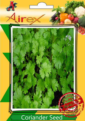 Airex Coriander Seed(15 per packet)
