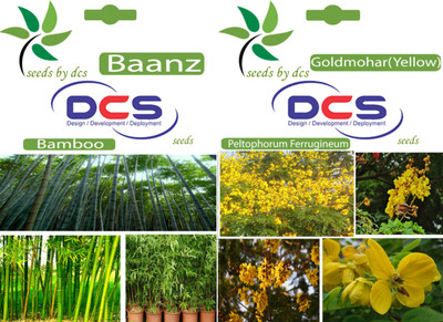 

DCS Baanz & Goldmohar(yellow) Seed(2 per packet)