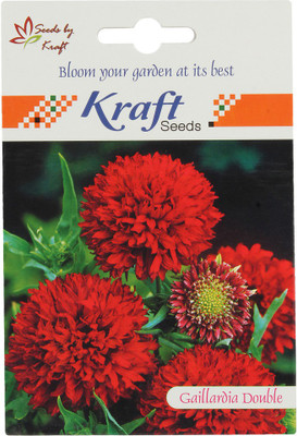 

Kraft Seeds Gaillardia Double Dwarf Seeds (Pack of 20, Yellow Plume) by Kraft Seeds Seed(600 per packet)