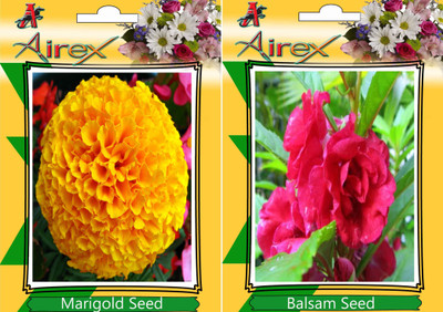 

Airex Marigold, Balsam Seed(25 per packet)