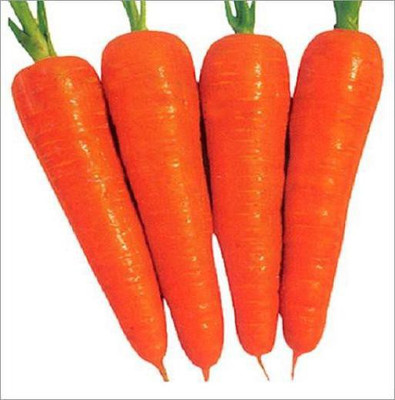 

Seedbazaar Carrot Seed(200 per packet)