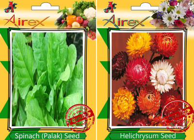 Airex Spinach, Helichrysum Seed(15 per packet)