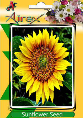 

Airex Sunflower Seed(20 per packet)