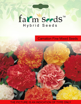 

FARM SEEDS Carnation Fine Mixed Seed(100 per packet)
