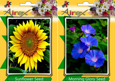 

Airex Sunflower, Morning Glory Seed(15 per packet)