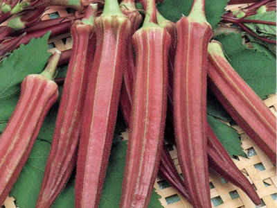 

National Gardens Exotic Red Ladies Finger Seeds (Red Okra) by National Gardens Seed(20 per packet)