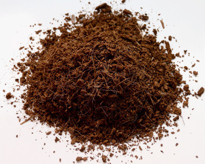 

National Gardens Coco Peat for Seed Germination / Potting Media by National Gardens Seed(1000 per packet)
