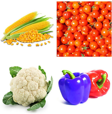 

Real Seed Vegetable Seeds Combo Pack Seed(4 per packet)
