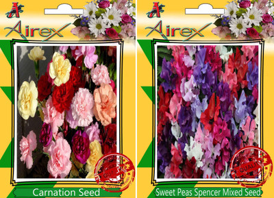 Airex Carnation, Sweet Peas Spencer Mixed Seed(20 per packet)