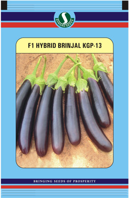 

Sungro Seeds Limited Sungro Hybrid Brinjal Long Seeds (Pack of two) Seed(50 per packet)