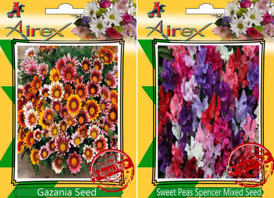 

Airex Gazania, Sweet Peas Spencer Mixed Seed(20 per packet)