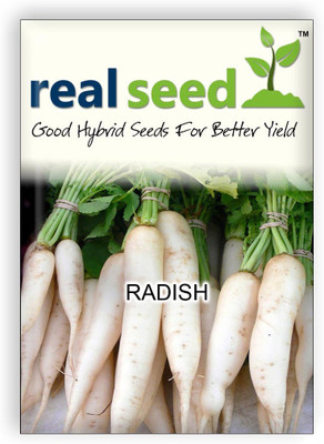 

Real Seed Radish Long White Seed(30 Per Packet)