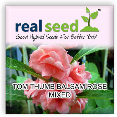 

Real Seed Tom Thumb Balsam Seed(12 per packet)