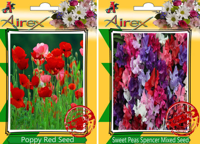 

Airex Poppy Red, Sweet Peas Spencer Mixed Seed(30 per packet)