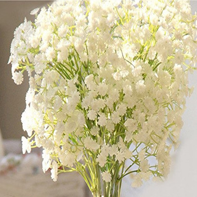 

Futaba Four seasons mantianxing seeds Seed(100 per packet)