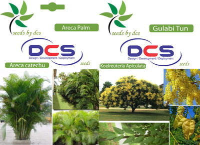 

DCS Areca Palm and Gulabi Tun Seed(10 per packet)