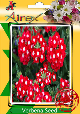 Airex Verbena Seed(15 per packet)