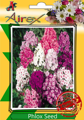 

Airex Phlox Seed(15 per packet)