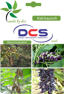 

DCS Kali kaunch Seed(10 per packet)