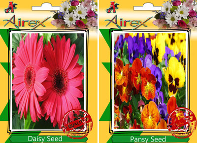 

Airex Daisy, Pansy Seed(25 per packet)