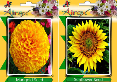 

Airex Marigold, Sunflower Seed(20 per packet)