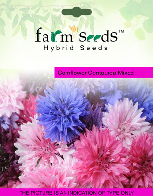

FARM SEEDS Cornflower Seed(100 per packet)