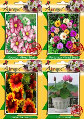 Airex Cosmos Mixed,Portulaca Mixed,Gaillardia and Lotus Seed(15 per packet)