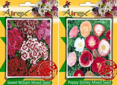 

Airex Sweet William Mixed, Poppy Shirley Mixed Seed(30 per packet)