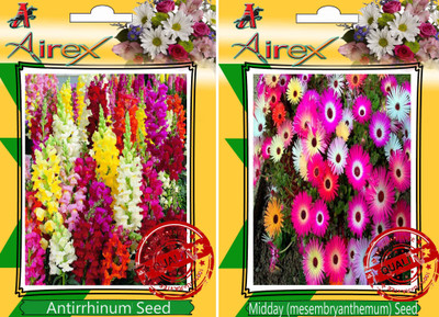 

Airex Antirrhinum, Midday Seed(25 per packet)