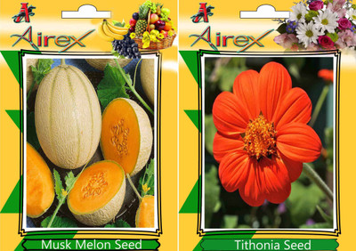 Airex Musk Melon and Tithonia Seed(15 per packet)