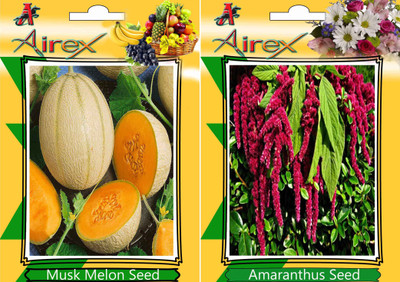 Airex Musk Melon and Amaranthus Seed(15 per packet)