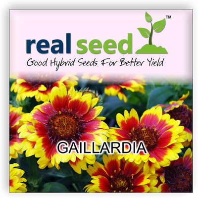 

Real Seed Gaillardia Seed(20 per packet)