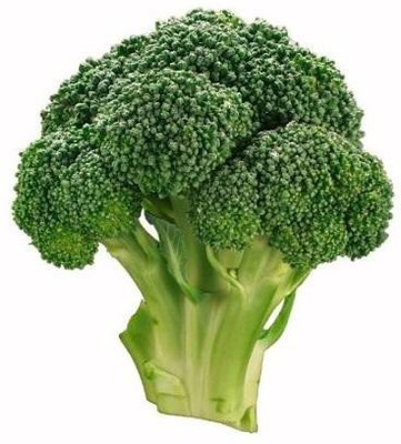 

National Gardens Exotic Early Fall Rapini Broccoli Seeds by National Gardens Seed(60 per packet)