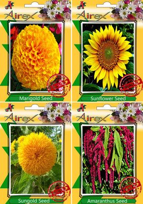 

Airex Marigold, Sunflower, Sungold, Amaranthus Seed(15 per packet)
