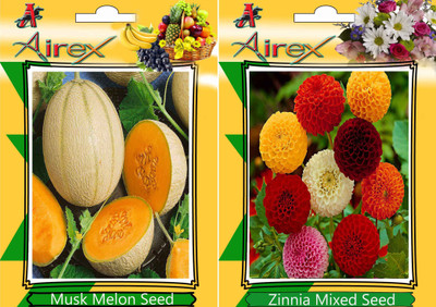 Airex Musk Melon and Zinnia Mixed Seed(20 per packet)