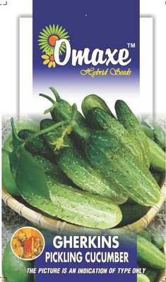 

Omaxe Vegetable Seed(1 per packet)