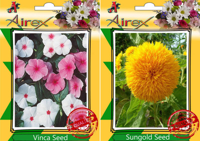 

Airex Vinca and Sungold Seed(25 per packet)