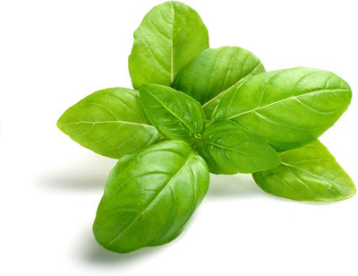 

Raunak Seeds Basil Seed(50 per packet)