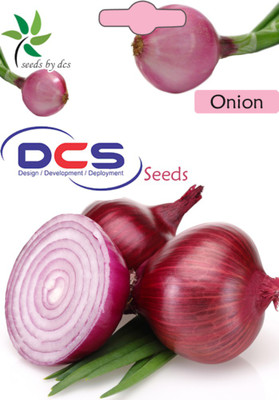 

DCS Onion Seed(50 per packet)