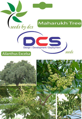 

DCS Maharukh Seed(5 per packet)