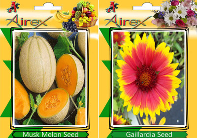 Airex Musk Melon and Gaillardia Seed(25 per packet)