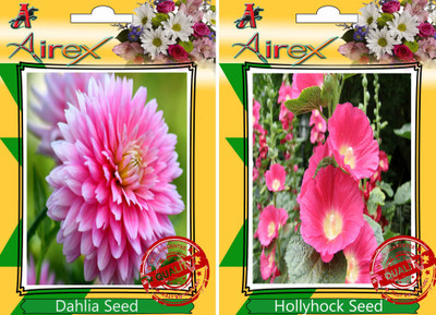

Airex Dahlia, Hollyhock Seed(25 per packet)